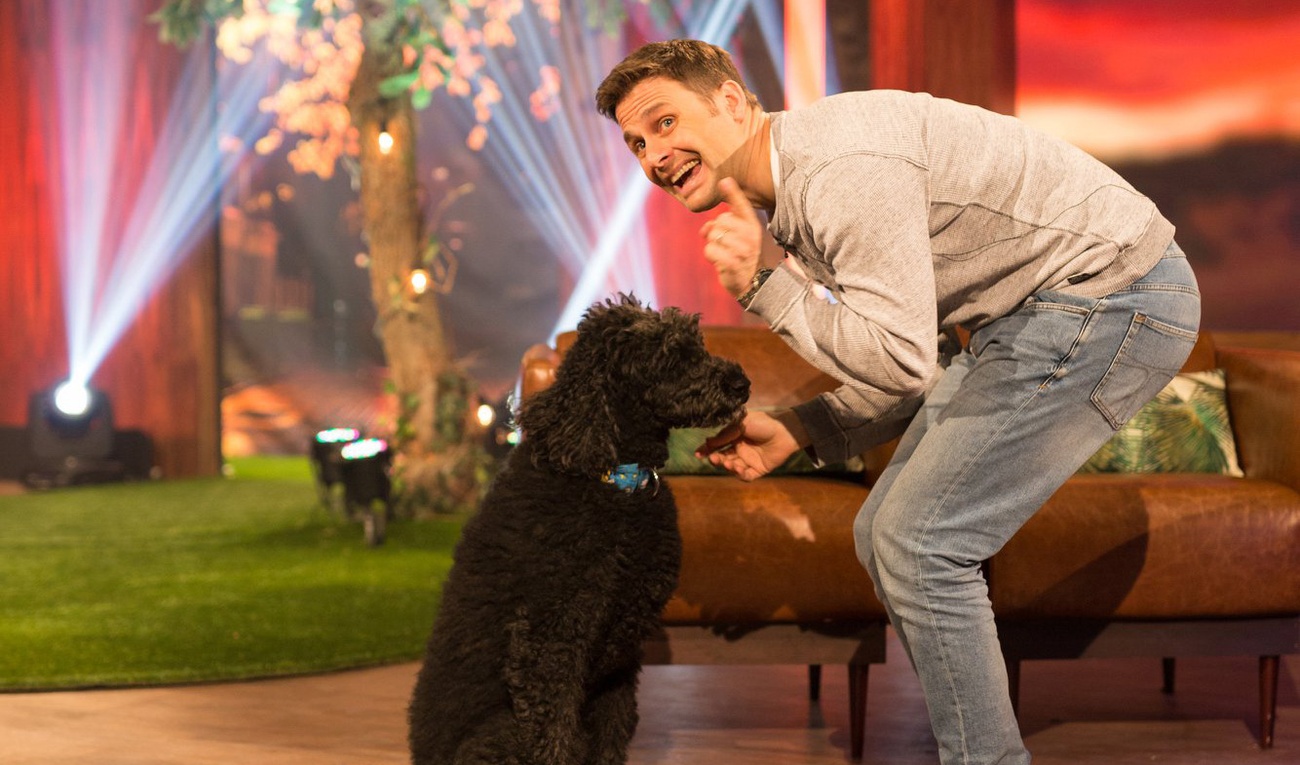 Qu'est-ce qui est arrivé à nos Poilus?