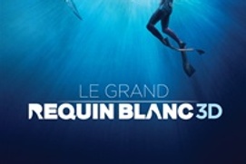 Affiche du film Le grand requin blanc 3D