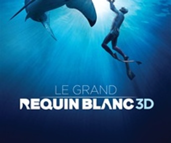 Affiche du film Le grand requin blanc 3D