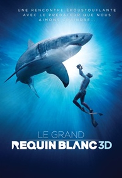 Affiche du film Le grand requin blanc 3D