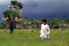 Scène du film Nordeste
