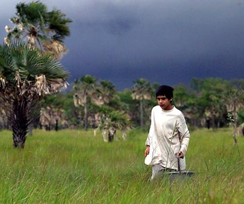 Scène du film Nordeste