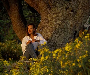 Scène du film Nordeste