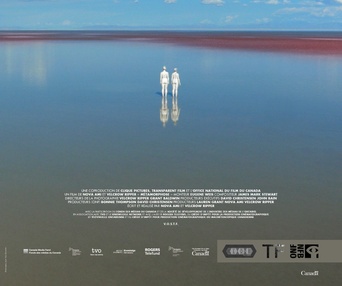 Affiche du film Métamorphose