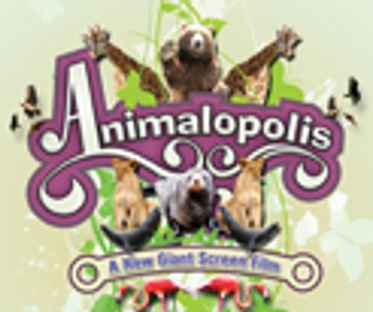 Affiche du film Animapolis