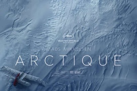 Affiche du film Arctique Affiche du film Arctique