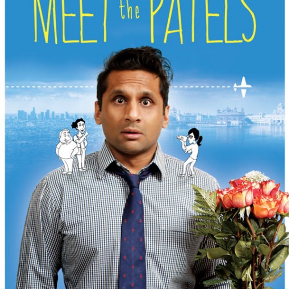 Affiche du film Meet the Patels