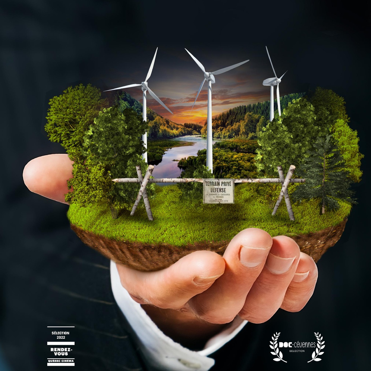 Affiche du film Boisbouscache