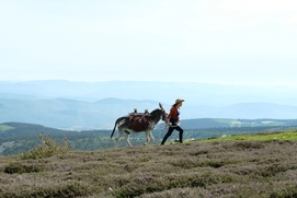 Une scène du film Antoinette dans les Cévennes Une scène du film Antoinette dans les Cévennes