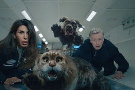 Image du film Chien et chat