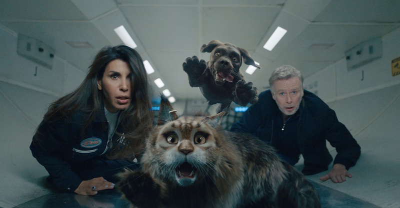 Image du film Chien et chat