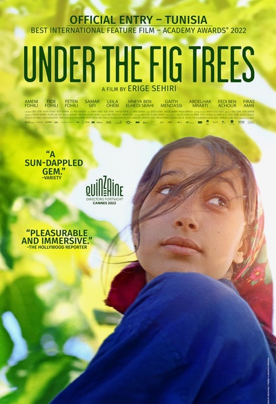 Affiche du film Under the Fig Trees