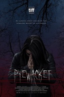 Affiche du film Pyewacket