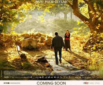 Affiche du film The Wild Pear Tree
