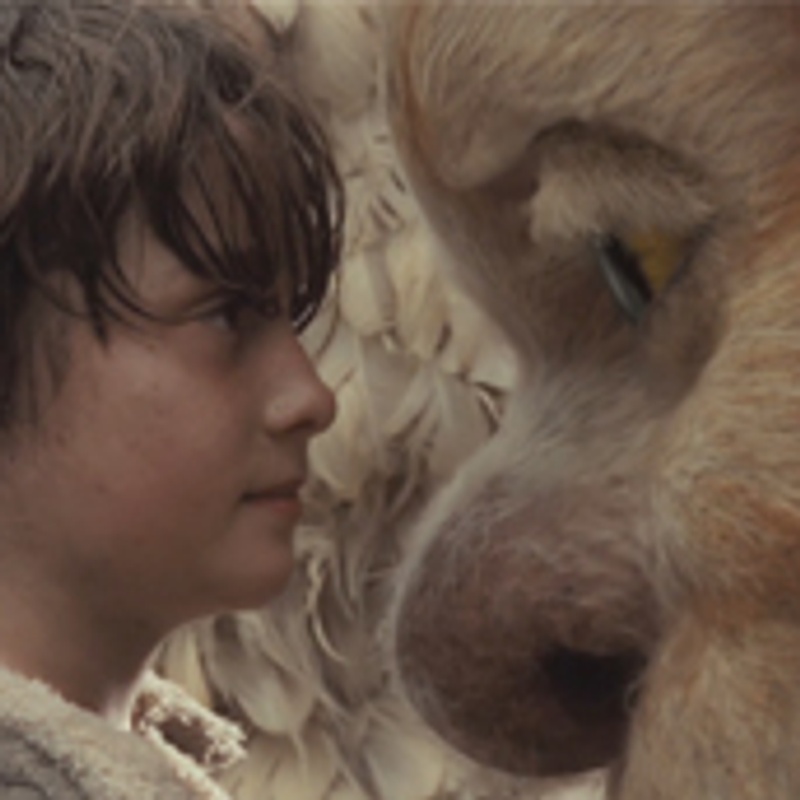Max Records dans le film Where the Wild Things Are