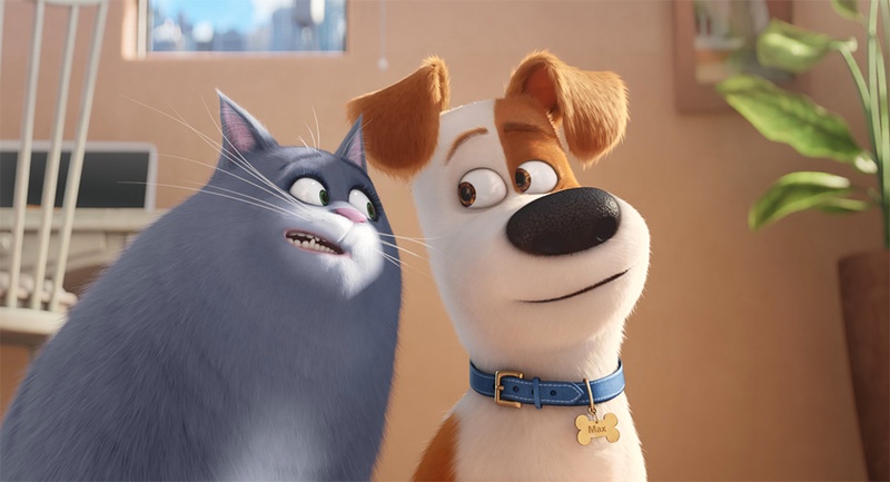 Une scène du film The Secret Life of Pets