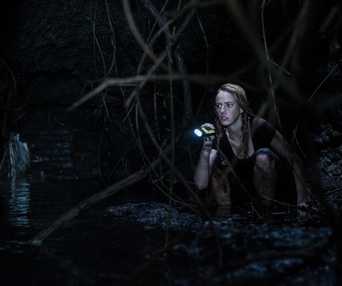 Une scène du film Crawl