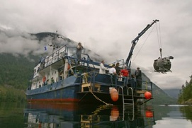 Scène du film Sous les mers du monde