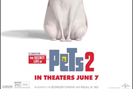Affiche du film The Secret Life of Pets 2 Affiche du film The Secret Life of Pets 2