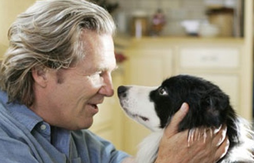 Jeff Bridges dans le film A Dog Year