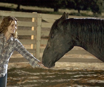 Scène du film Flicka