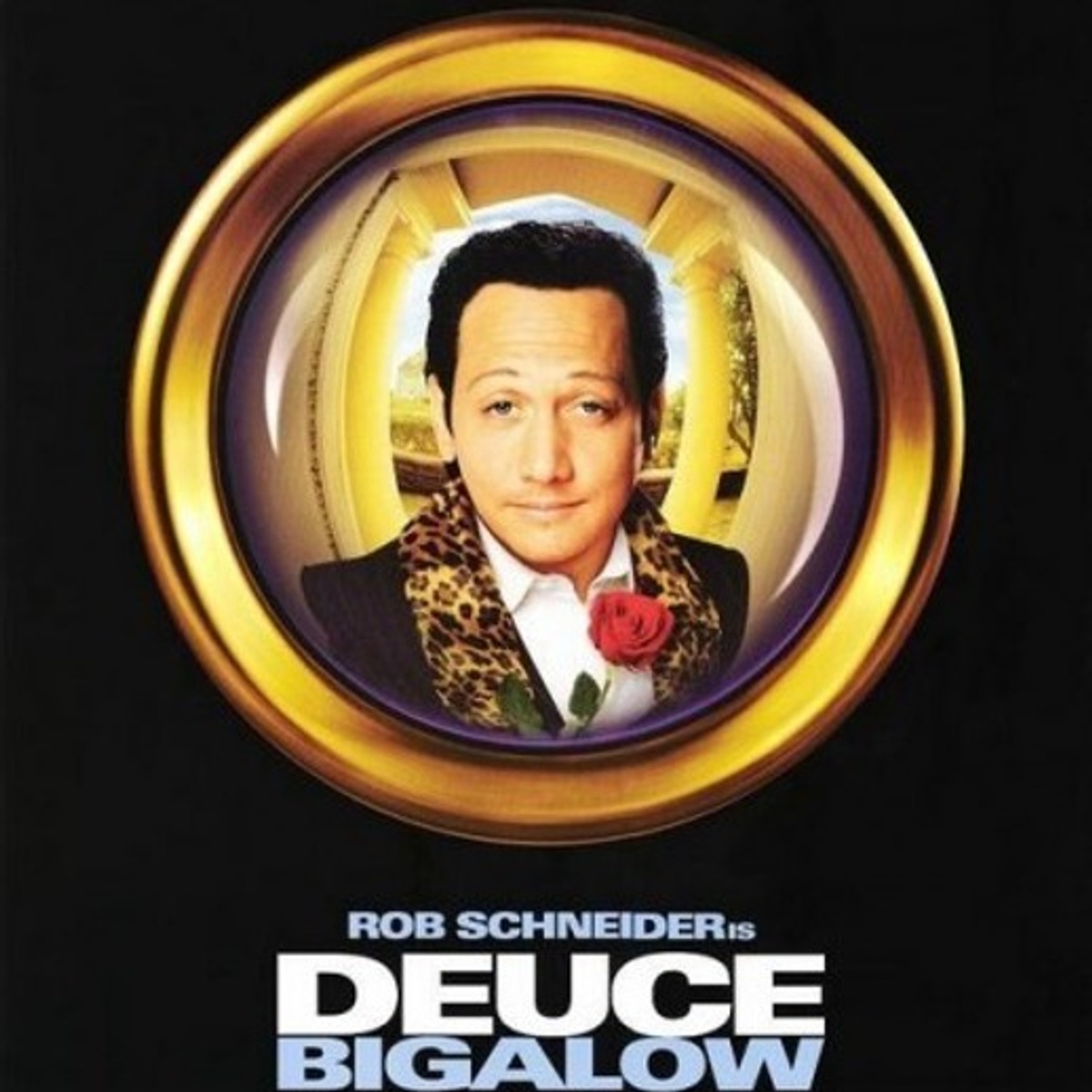 Affiche du film Deuce Bigalow: Male Gigolo