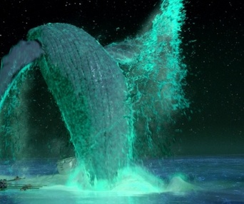 Une scène du film Life of Pi