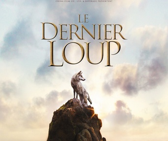 Affiche du film Le dernier loup