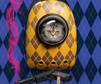 Affiche du film Argylle