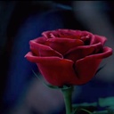 Une scène du film Beauty and the Beast