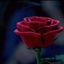 Une scène du film Beauty and the Beast