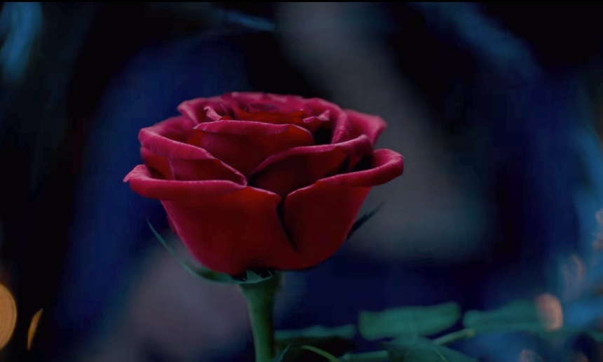 Découvrez la bande-annonce de Beauty and the Beast en prises de vue réelles