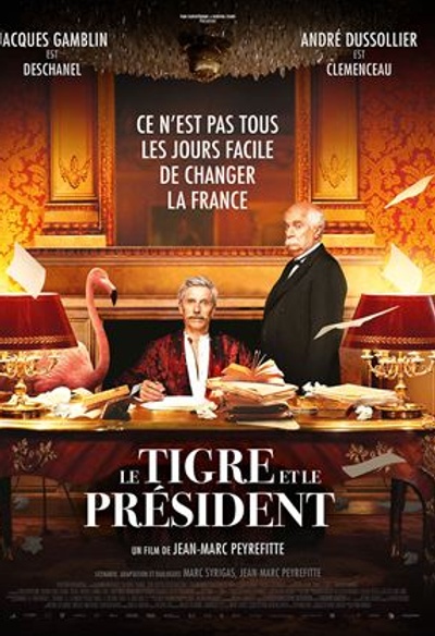 Affiche du film Le tigre et le président