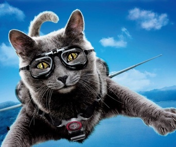 Affiche du film Cats  & Dogs: The Revenge of Kitty Galore