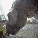 Une scène de Jurassic Park