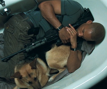 Scène du film I Am Legend