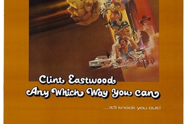 Affiche du film Any Which Way you Can