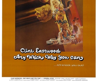 Affiche du film Any Which Way you Can