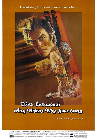 Affiche du film Any Which Way you Can
