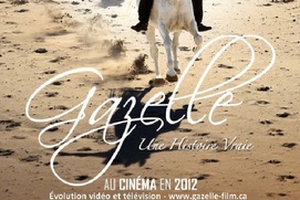 Affiche du film Gazelle