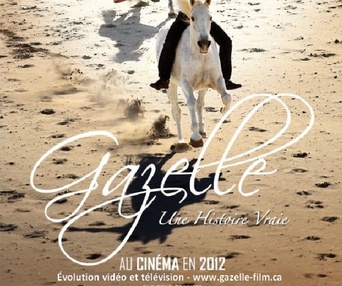 Affiche du film Gazelle