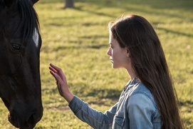 Une scène du film Black Beauty