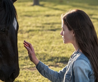 Une scène du film Black Beauty
