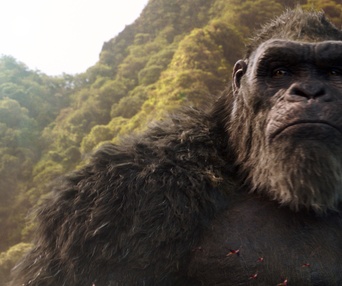 Une scène du film Godzilla vs Kong