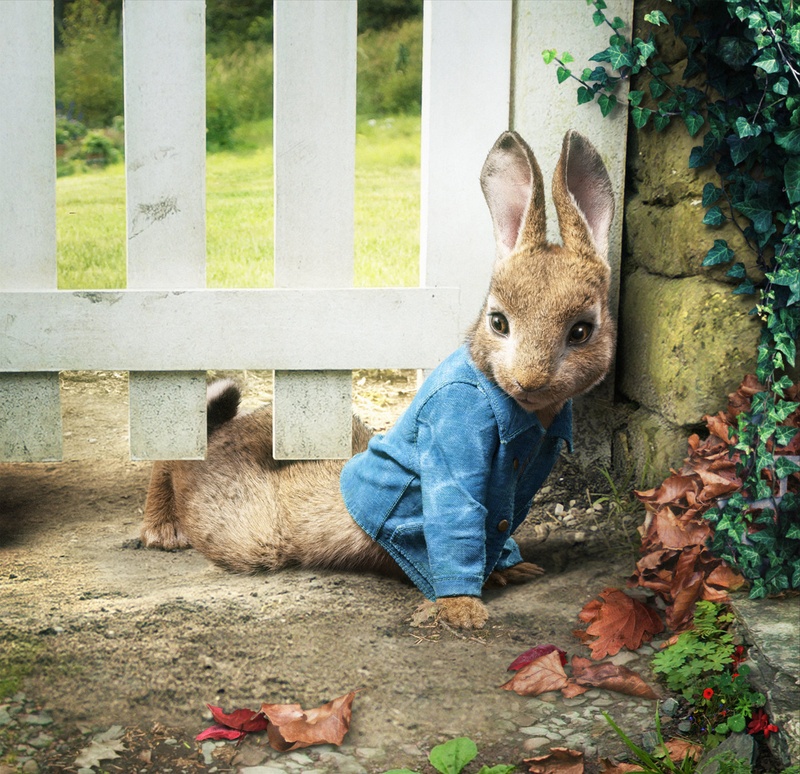 Une scène du film Peter Rabbit