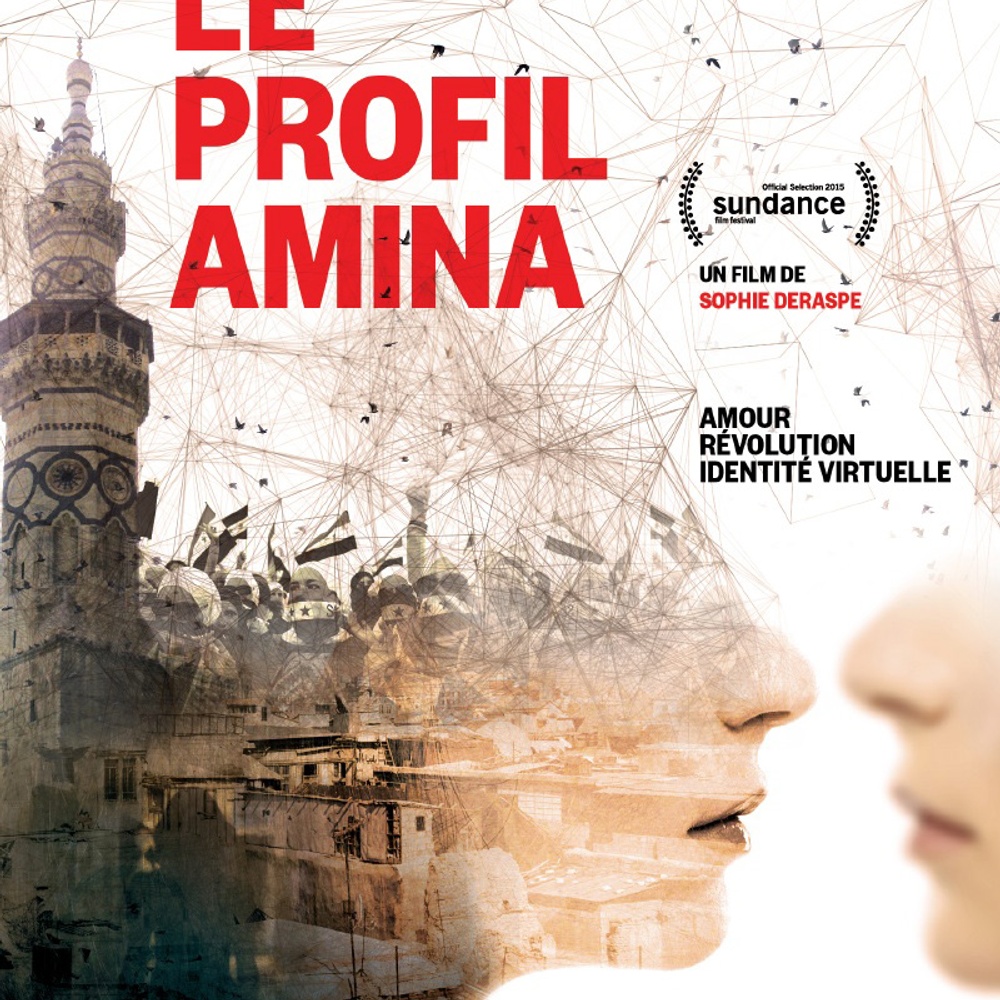 Affiche du film Le profil Amina