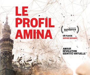 Affiche du film Le profil Amina