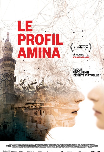Affiche du film Le profil Amina