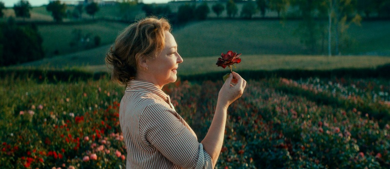 Image du film La fine fleur