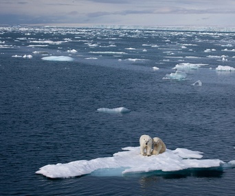 Une scène du film To the Arctic 3D